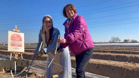 Zwei Frauen stehen in einem Spargelfeld und halten Spargelstangen in der Hand